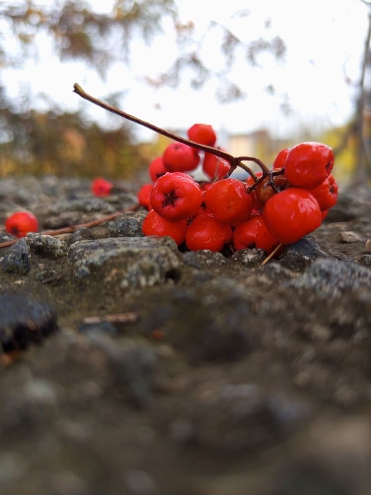 Photograph by Екатерина Казырицкая