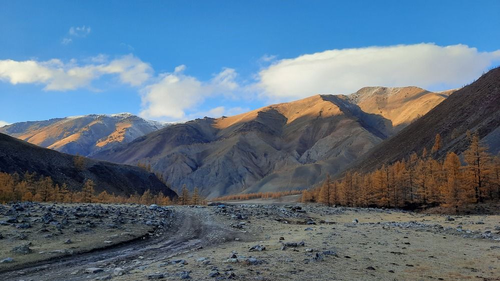 Photograph by Светлана Андреева