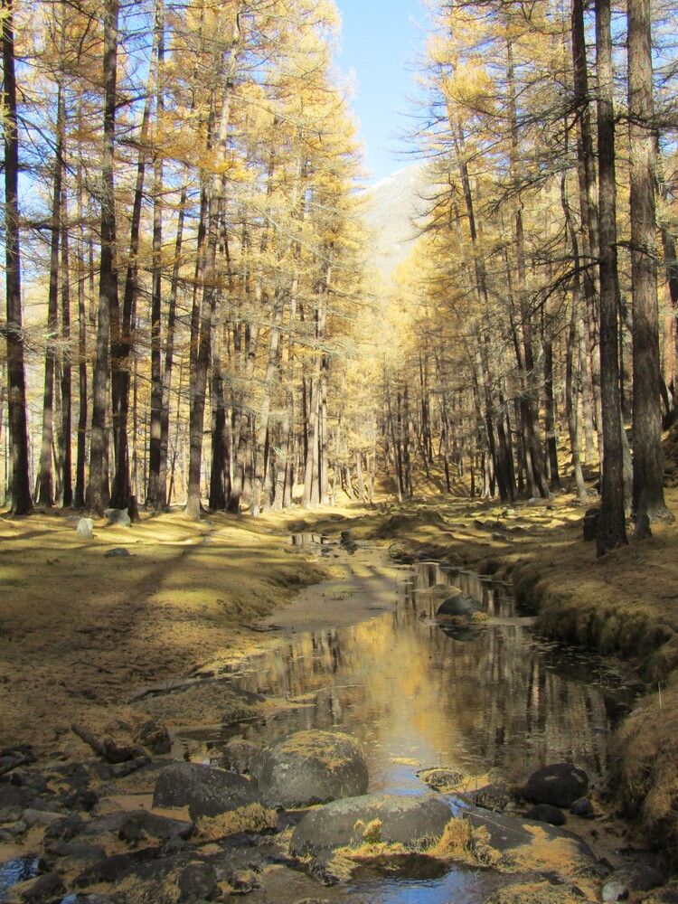 Photograph by Светлана Андреева