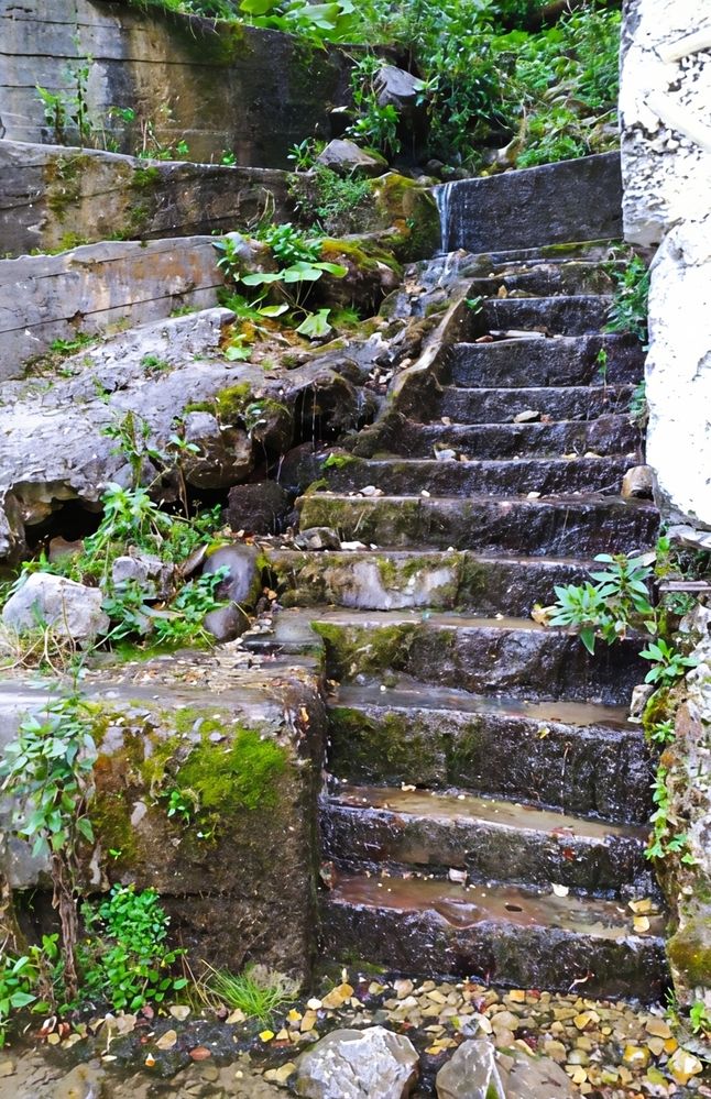 Photograph by Юлия Холомцева