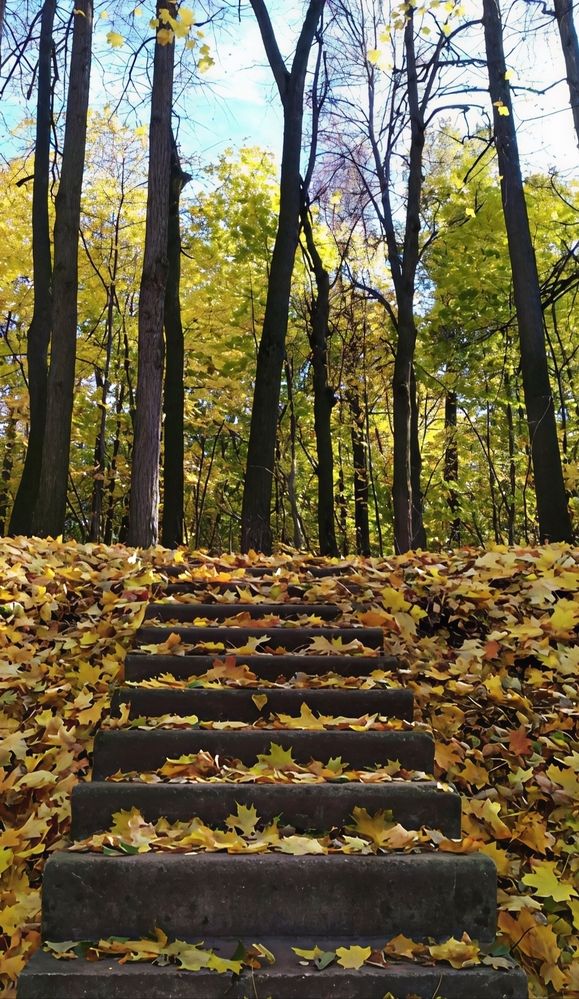 Photograph by Юлия Холомцева