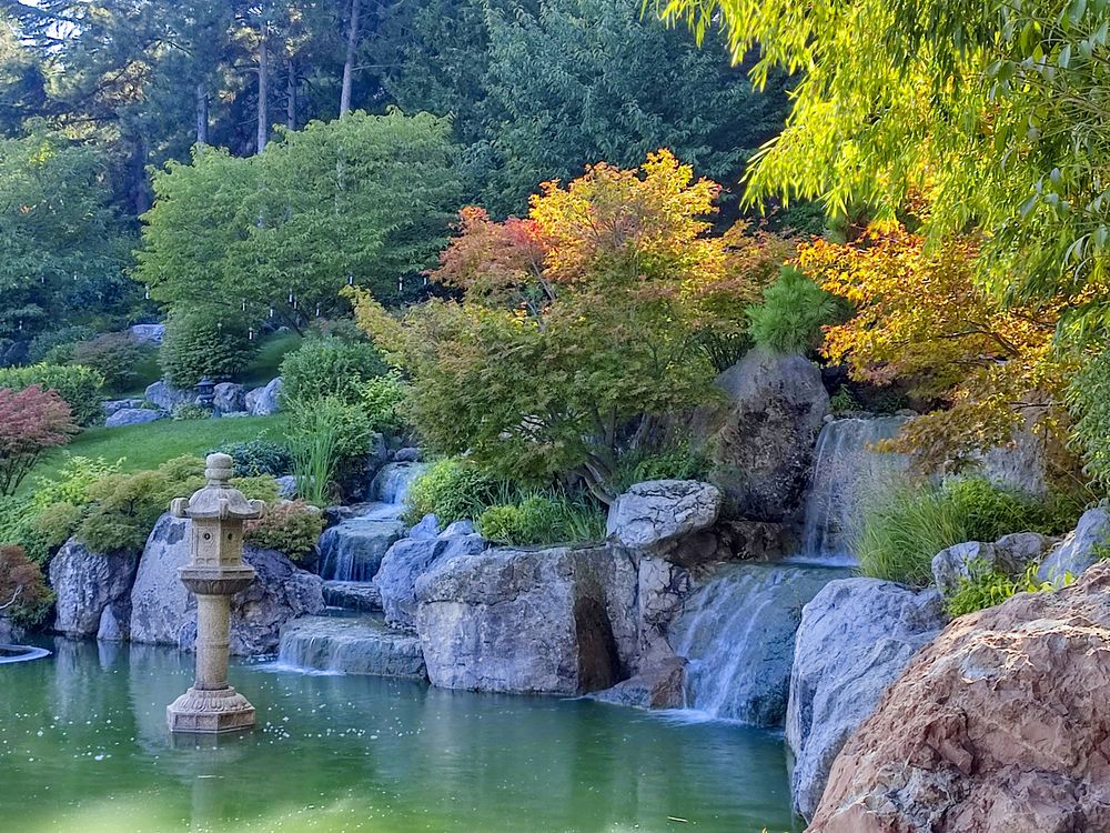 Фотография автора Татьяна Петренко