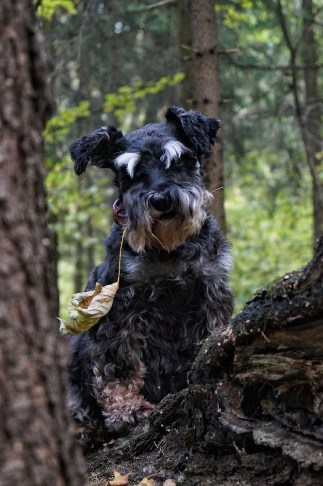 Фотография автора Светлана