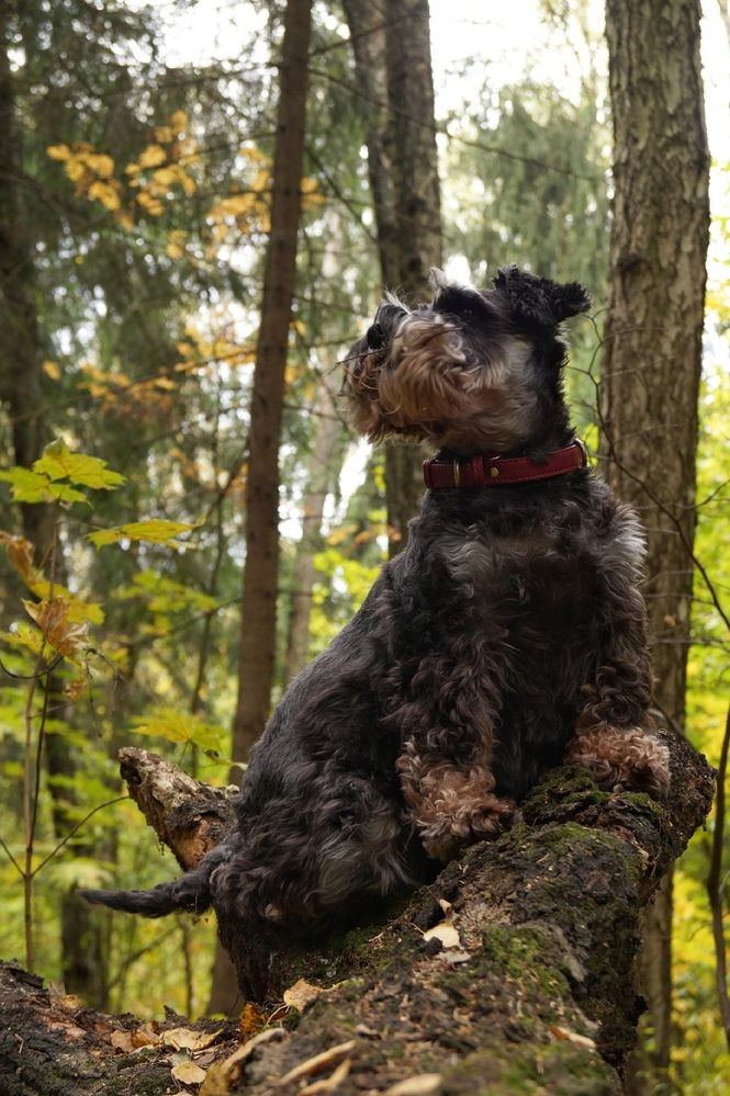 Фотография автора Светлана