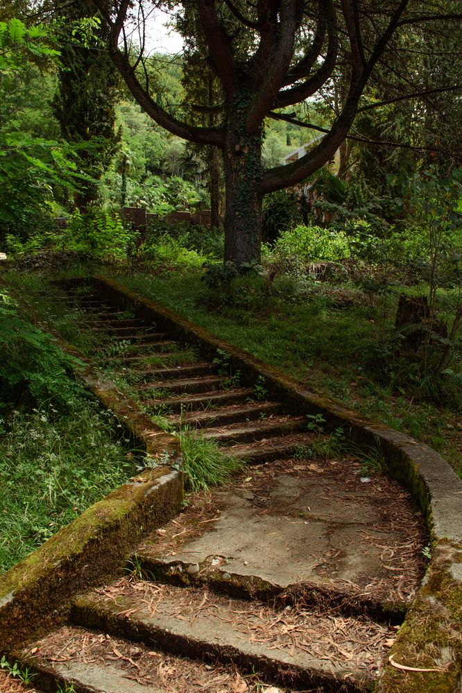 Photograph by Наталья Золотарева