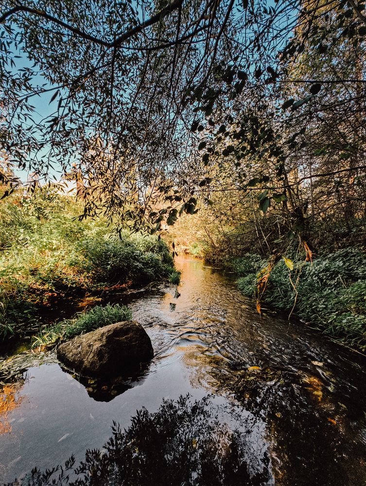 Photograph by Nataly Gusarova