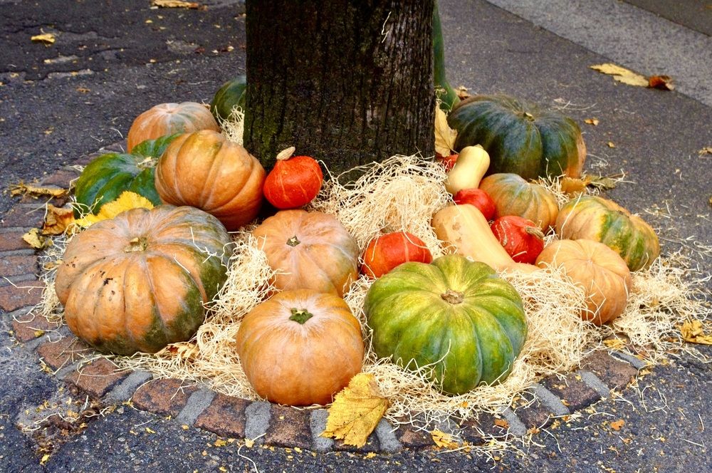 Photograph by Dario Meroni