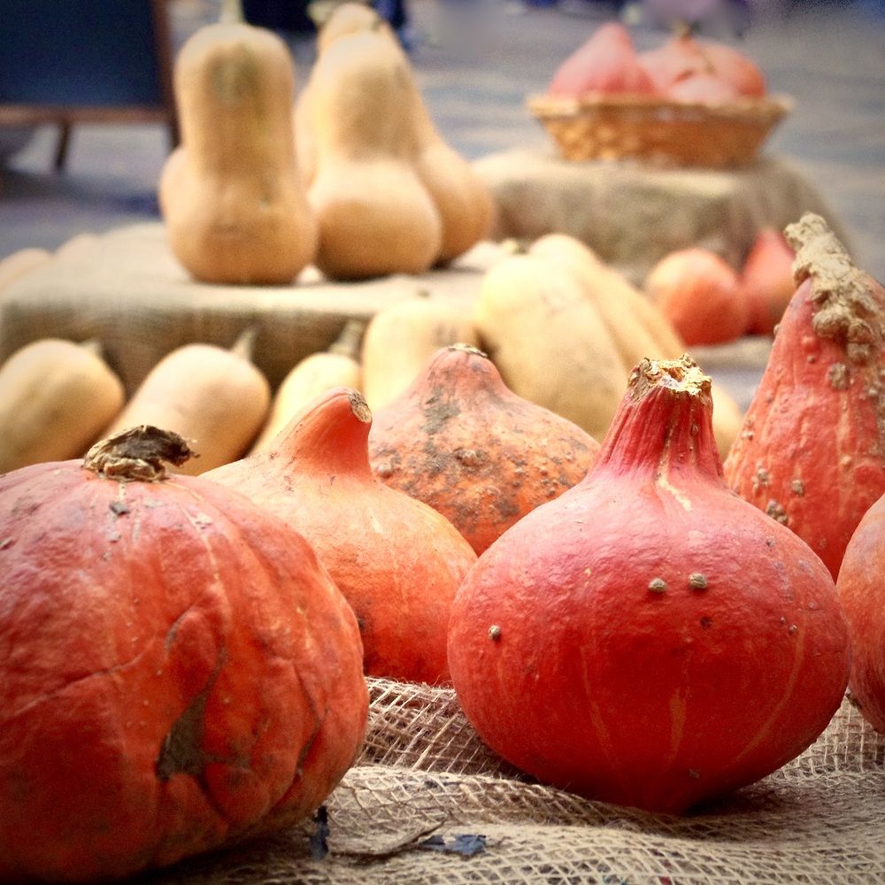 Photograph by Dario Meroni