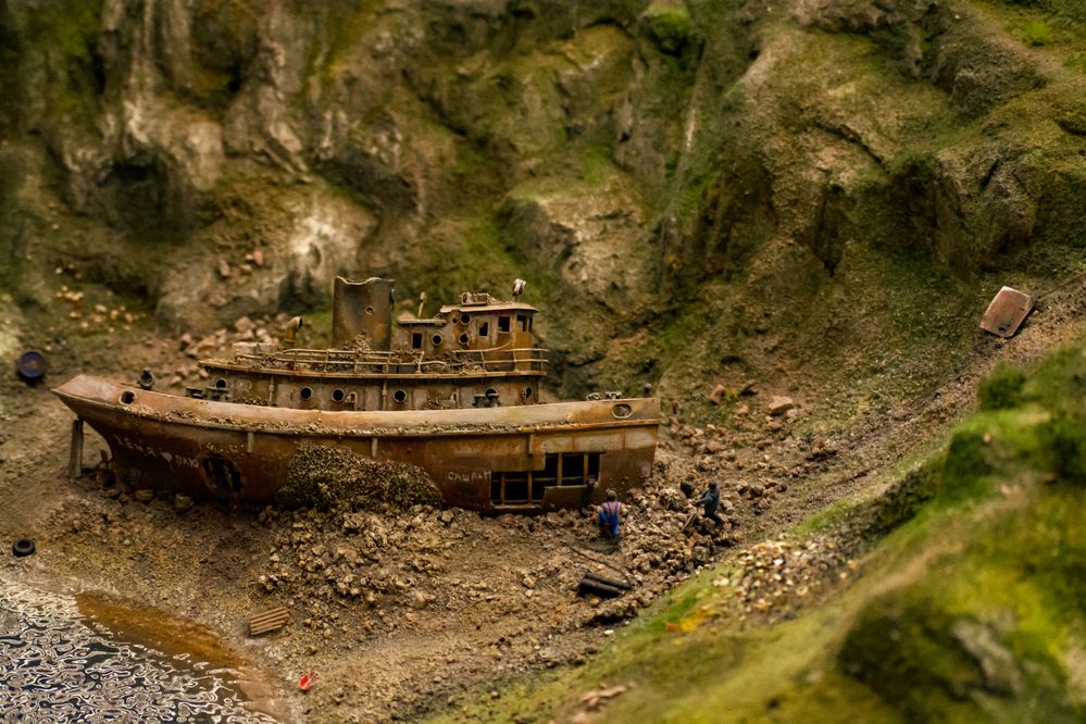 Фотография автора Антон Глухов