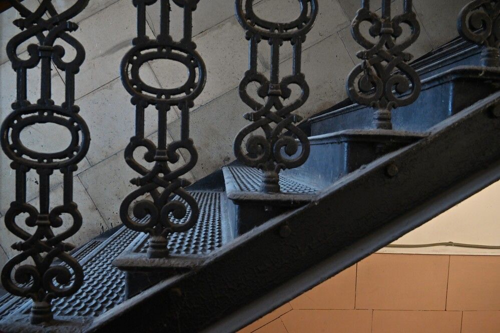 Фотография автора IRINA FILIPPOVA