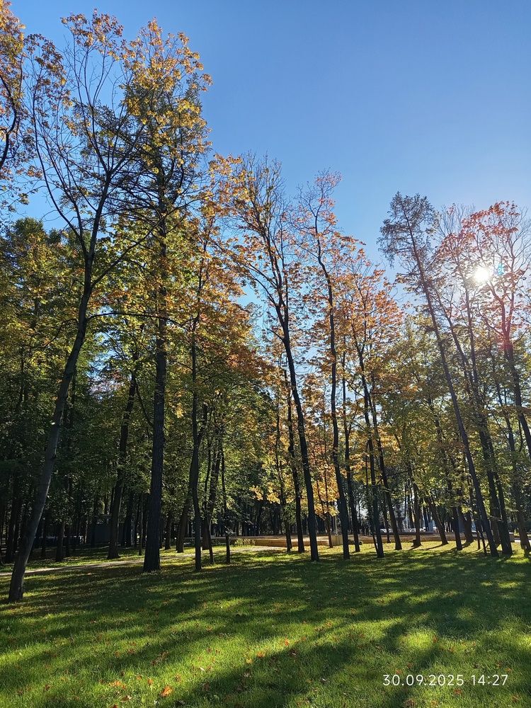 Photograph by Юлия Мельникова