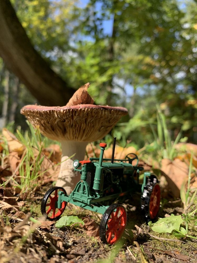 Photograph by Игорь Ребров