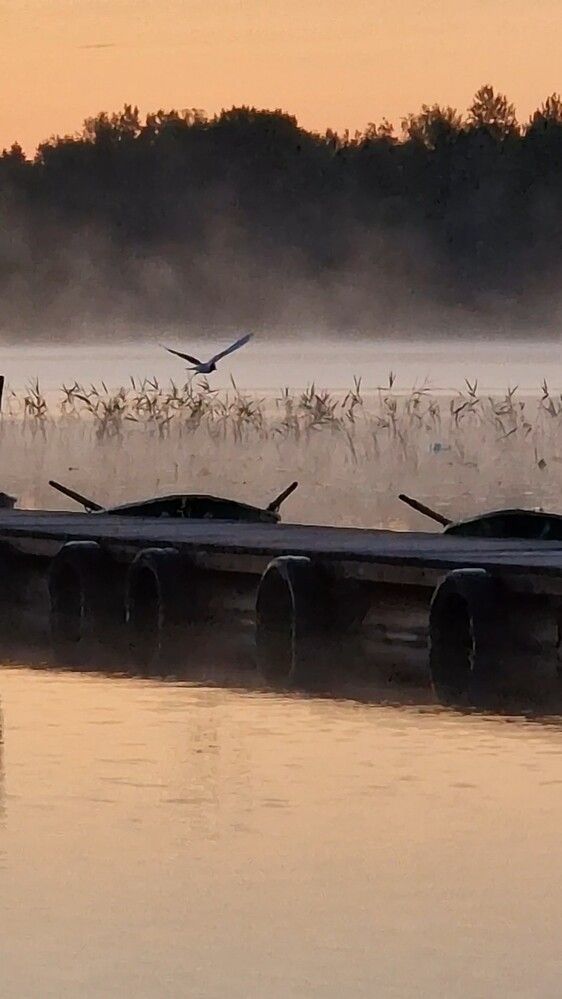 Photograph by Наталья Ермилова
