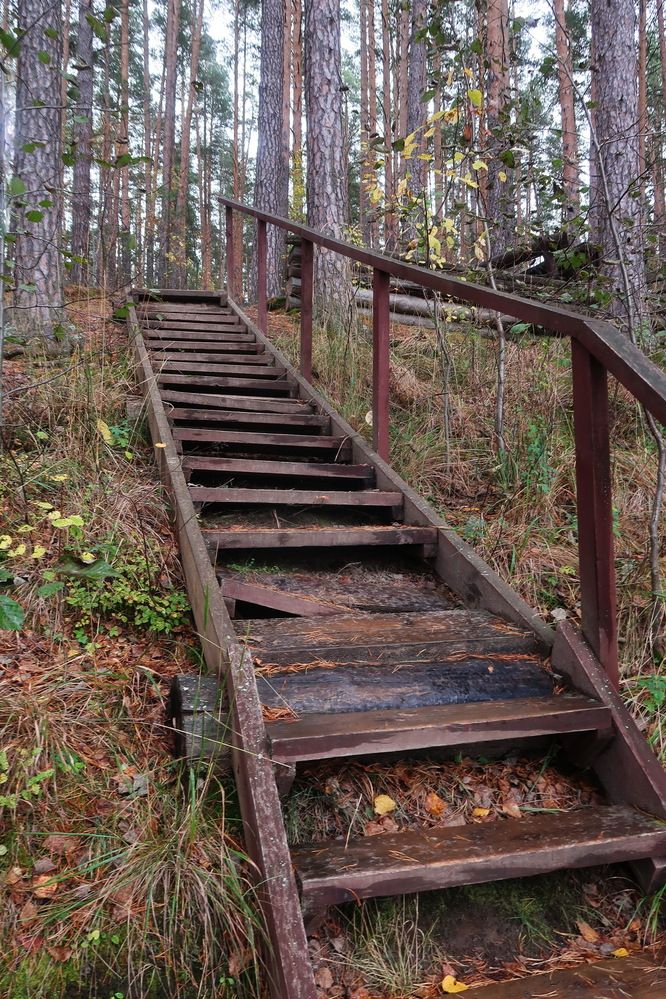 Photograph by Нина