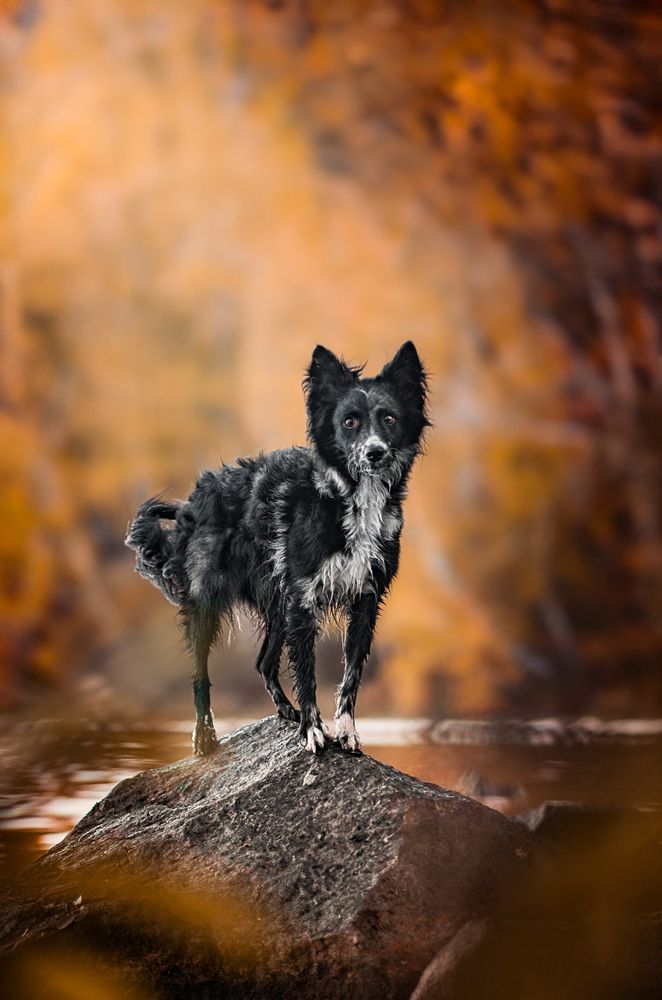 Фотография автора Kira Demina