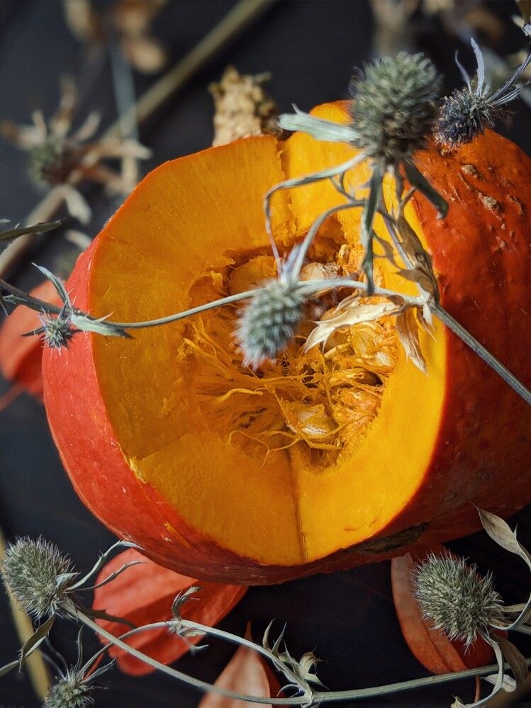 Photograph by Екатерина Чижевская