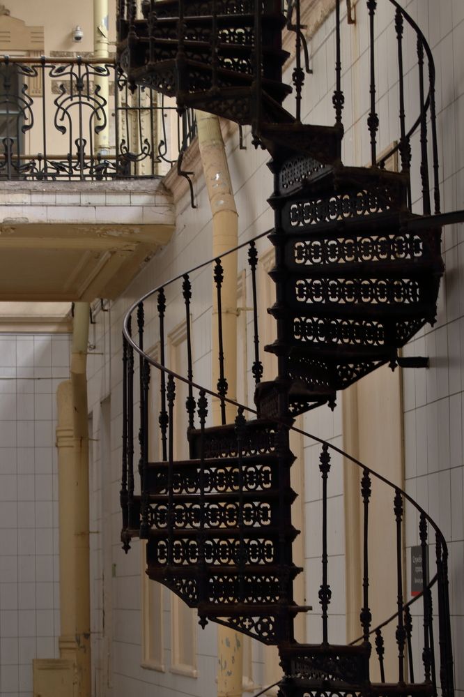 Фотография автора Светлана Долотова