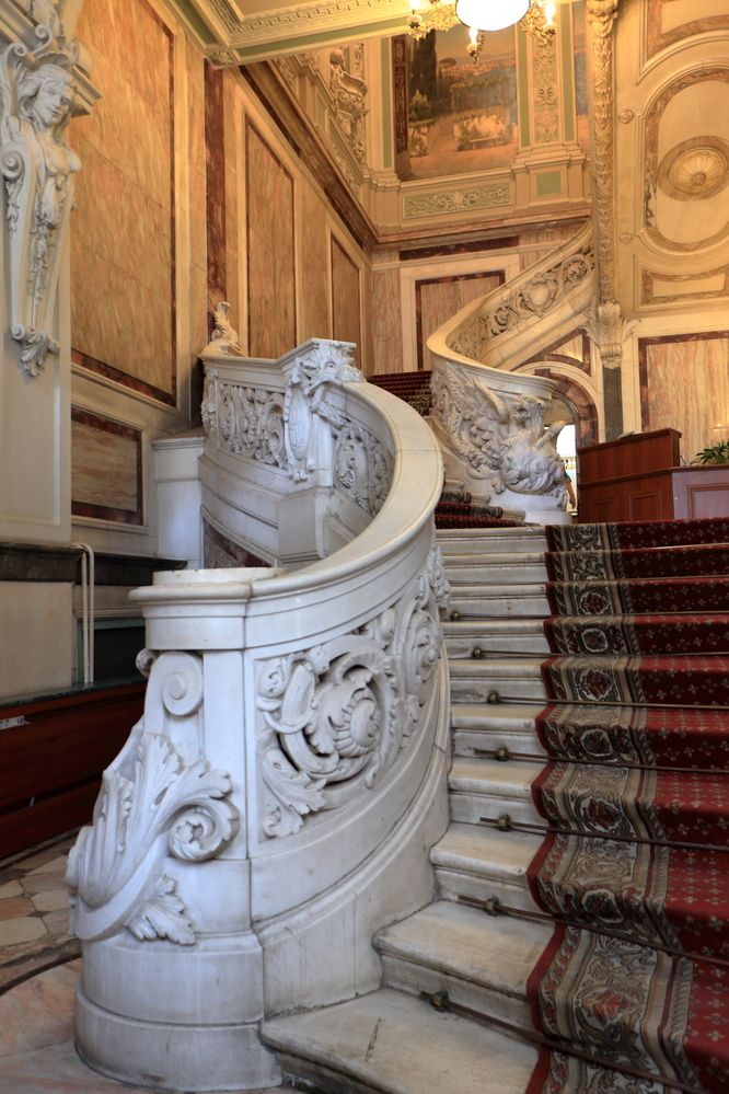 Фотография автора Светлана Долотова