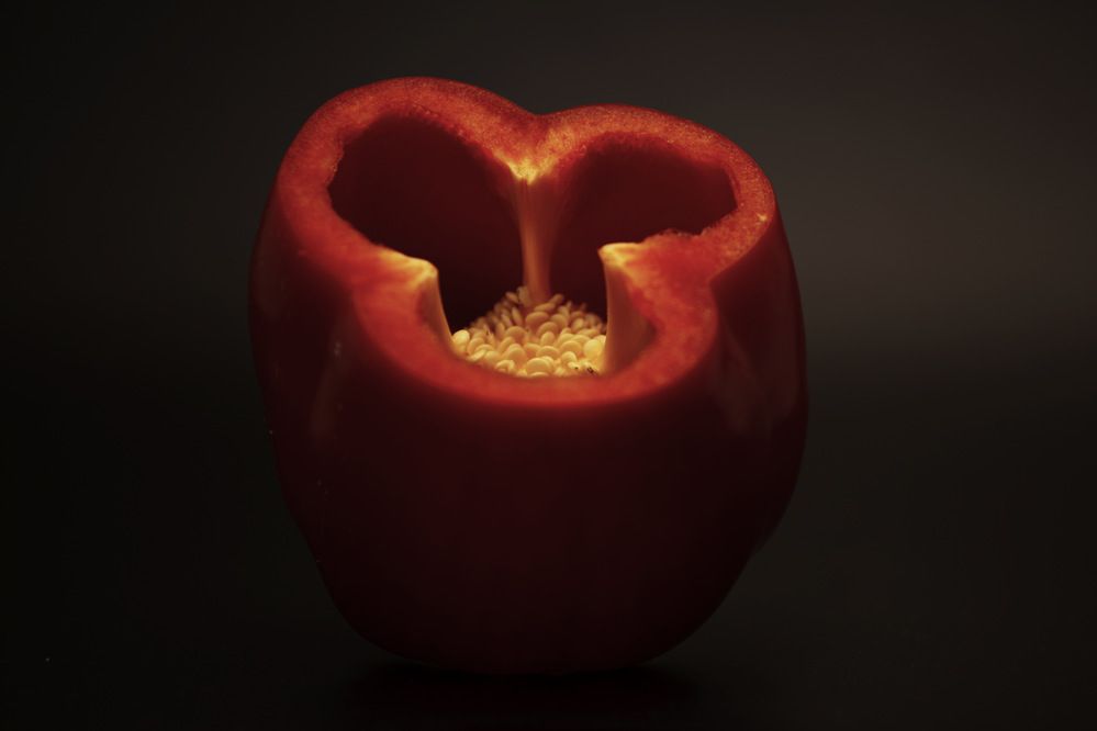 Photograph by Füleki Elvíra