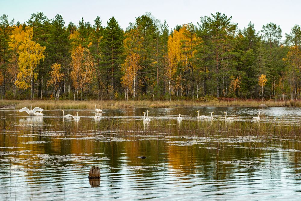 Photograph by Tanzilya Gabidullina