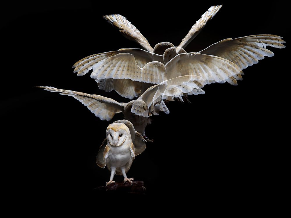 Photograph by Игорь Сахаров