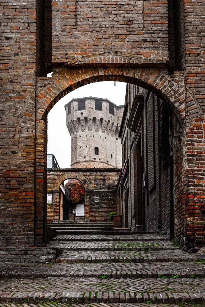 Photograph by Александр Шандов