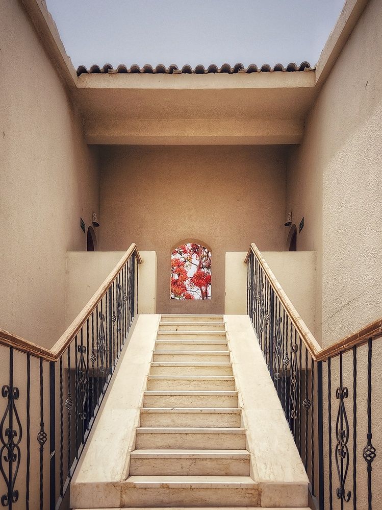 Photograph by Александра Кропивка