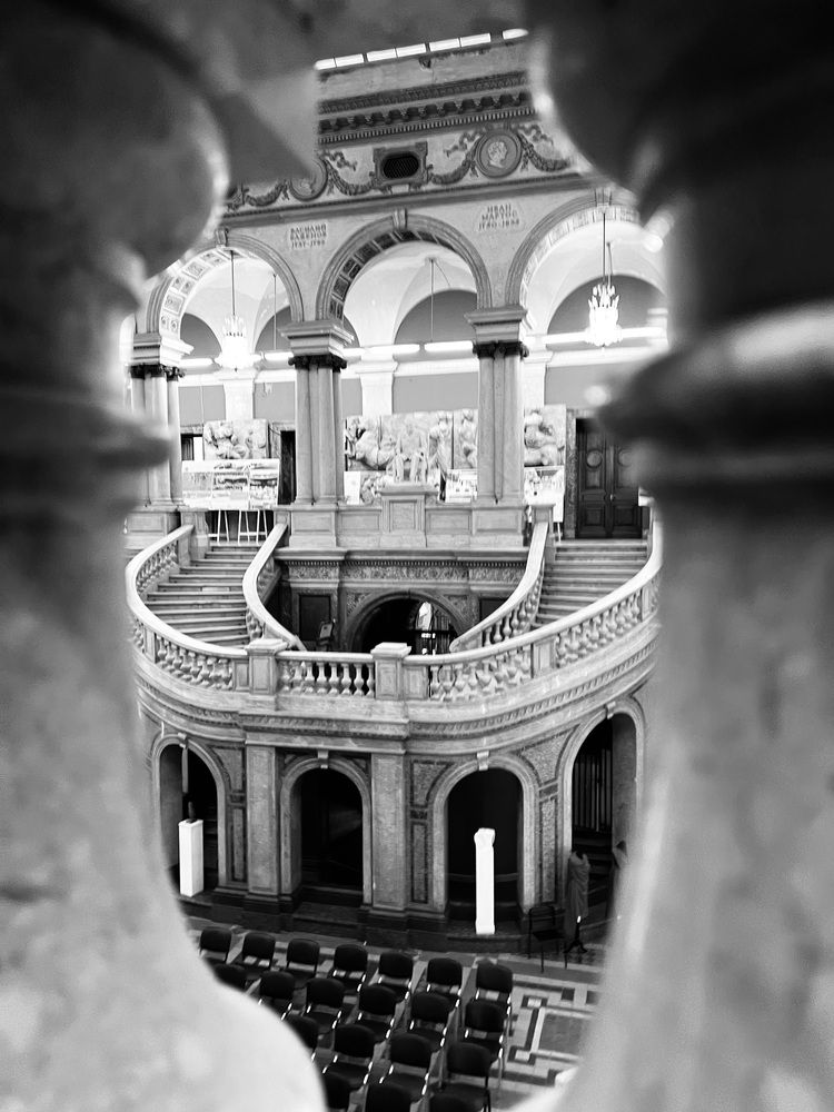 Photograph by Elvira