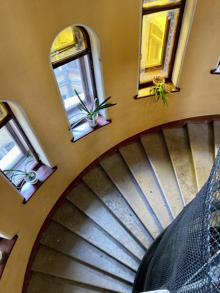 Photograph by Elvira