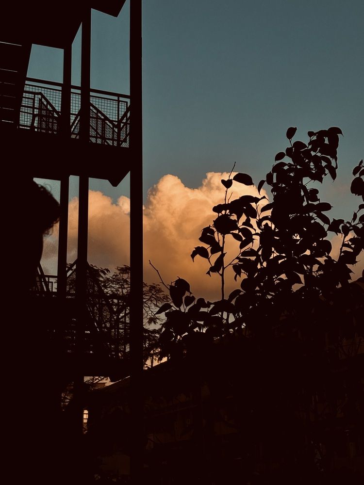 Фотография автора Moamen Khaled