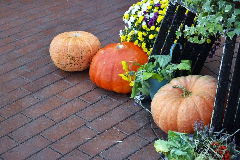 Фотография автора Альбина Хвастунова