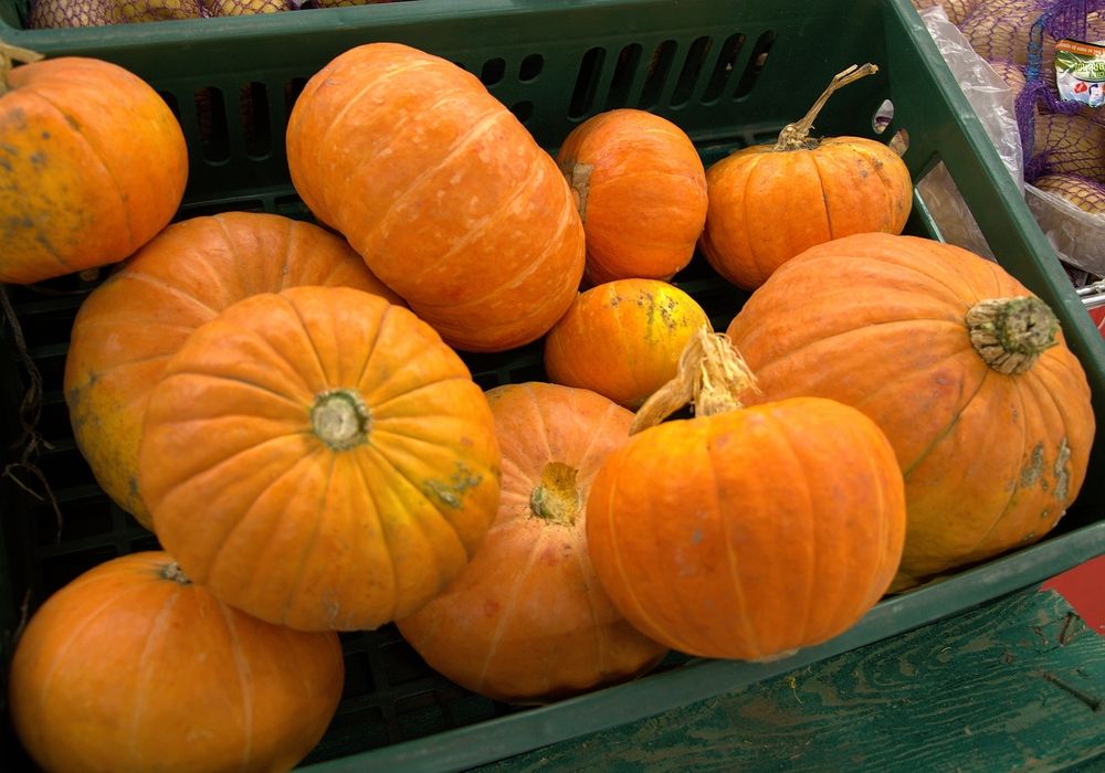 Фотография автора Альбина Хвастунова