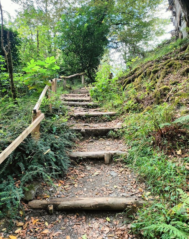 Photograph by Елена Егорова