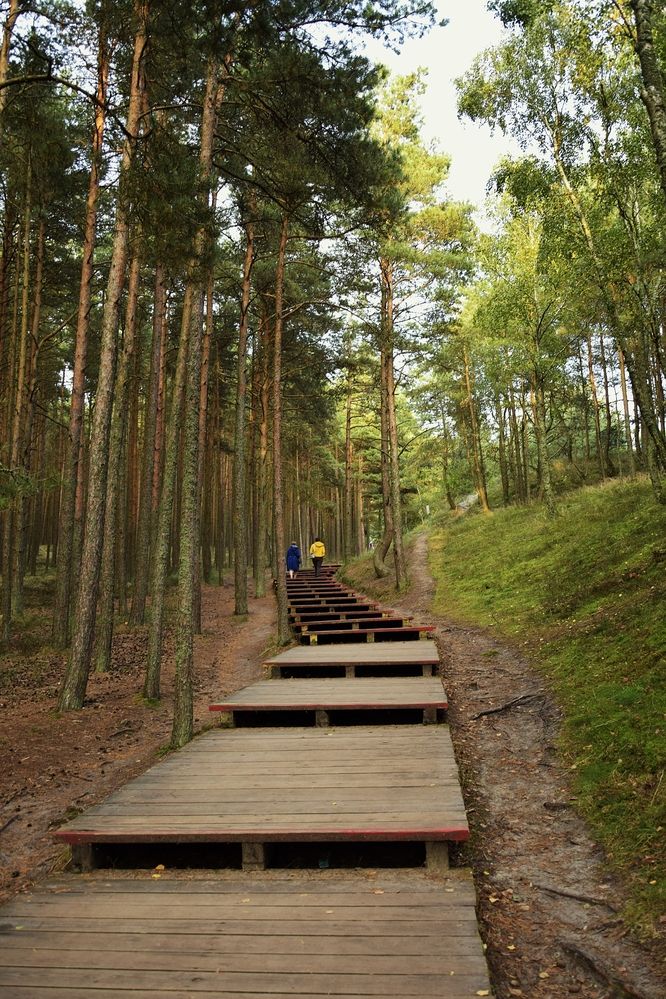 Фотография автора Альбина Хвастунова