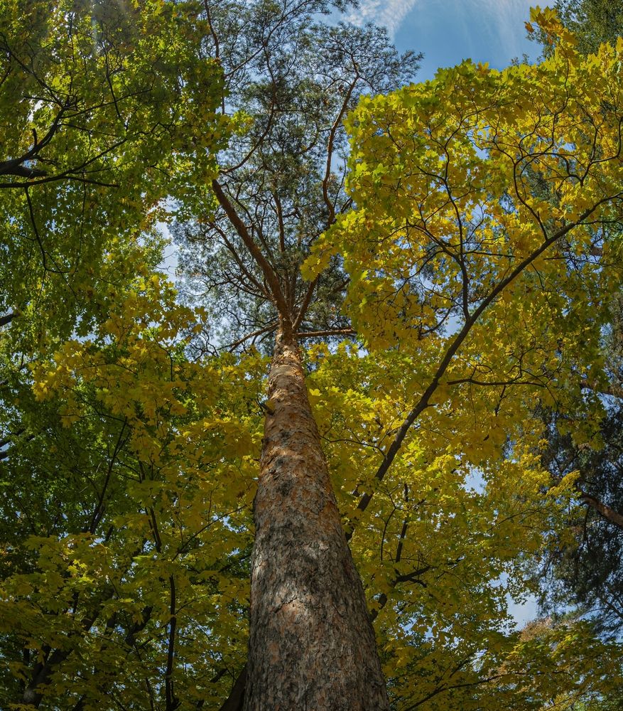 Фотография автора Сергей Басов