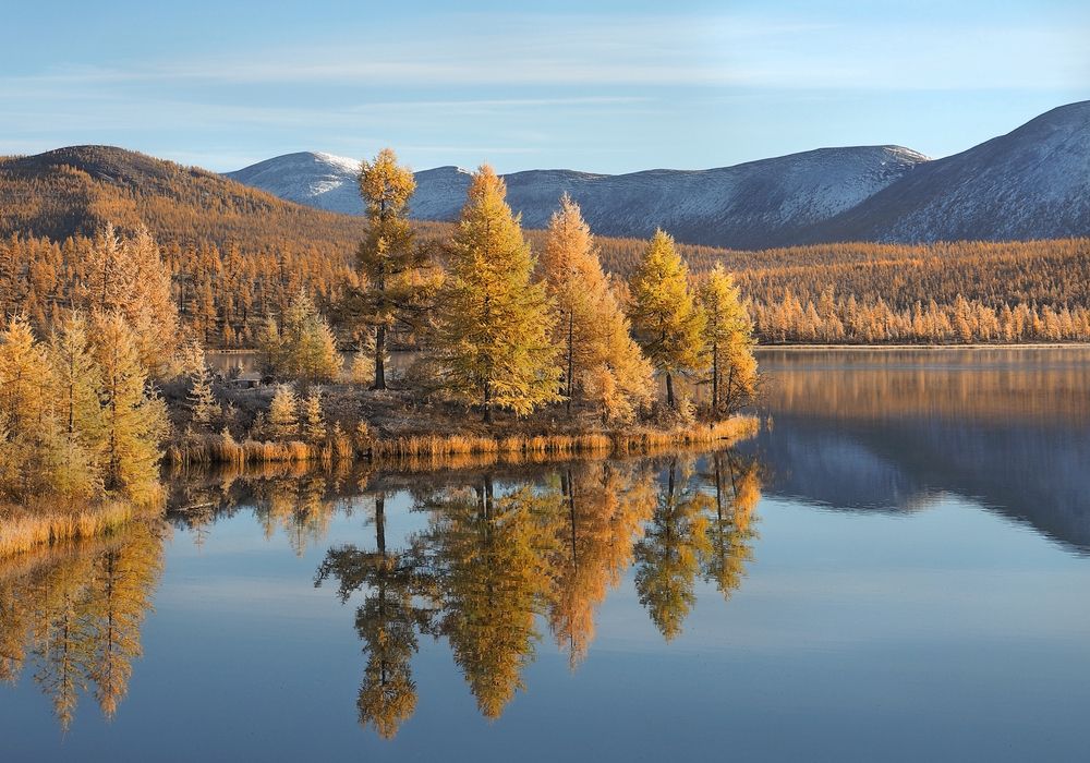 Осенний парусник