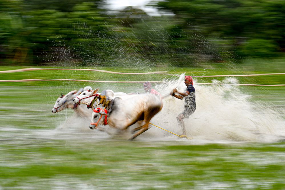 Photograph by Arkadeep Pal