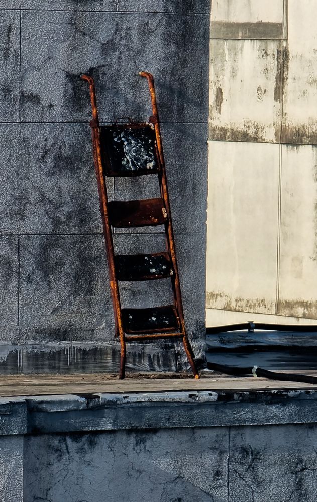 Photograph by Gr Marie