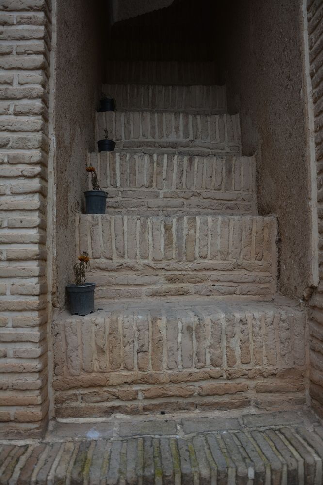 Photograph by Amin Golestanipour