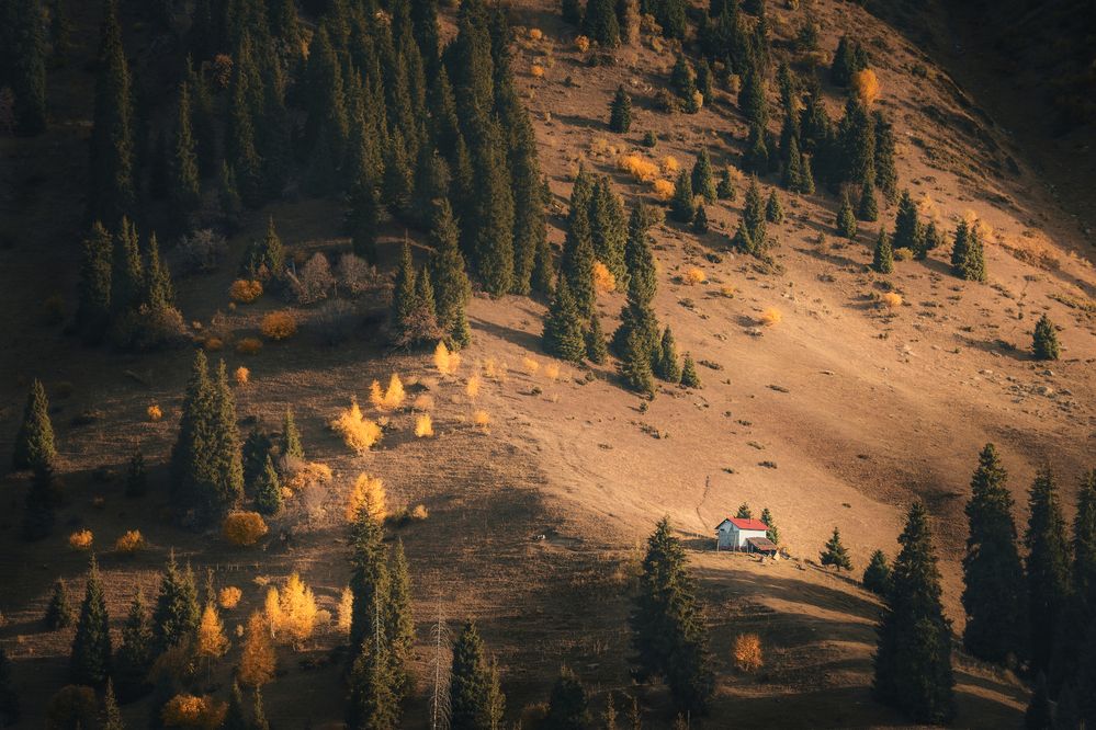 Photograph by Купчиков Илья