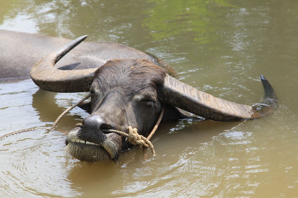Фотография автора Юрий Еремин