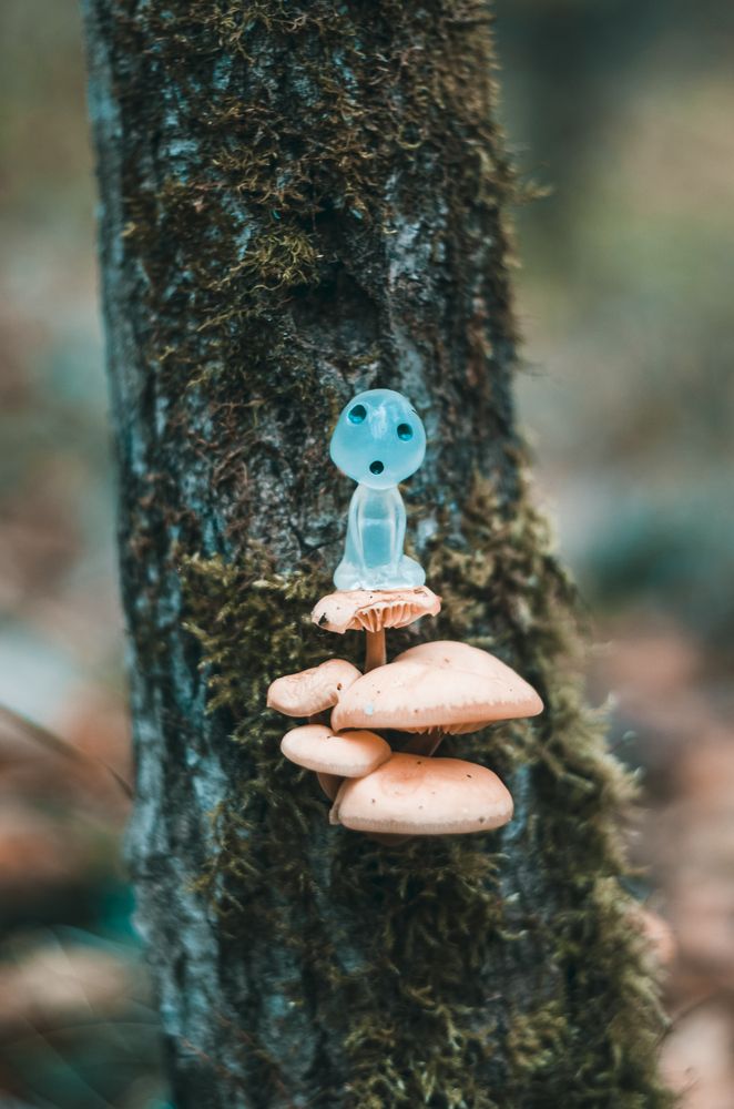 Photograph by Любовь Бусова