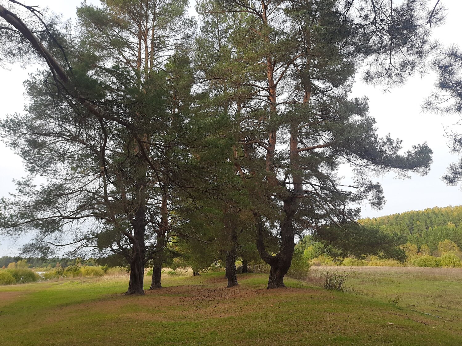 Photo #12667679