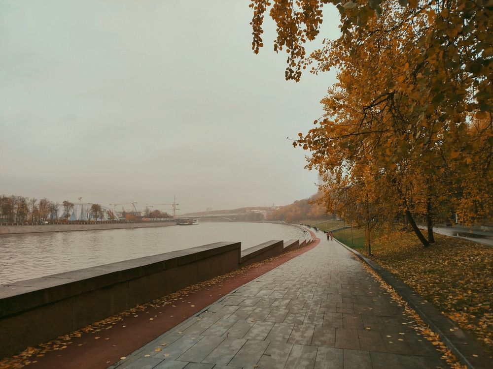 Photo #12667806
