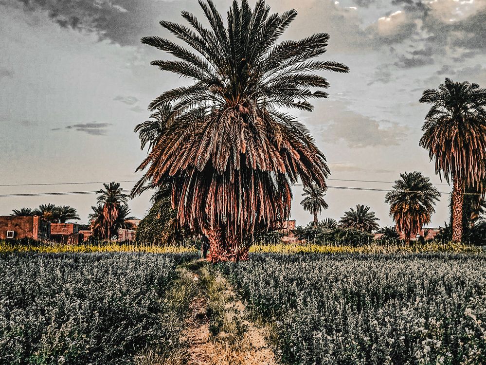 Фотография автора Ghufran Alim