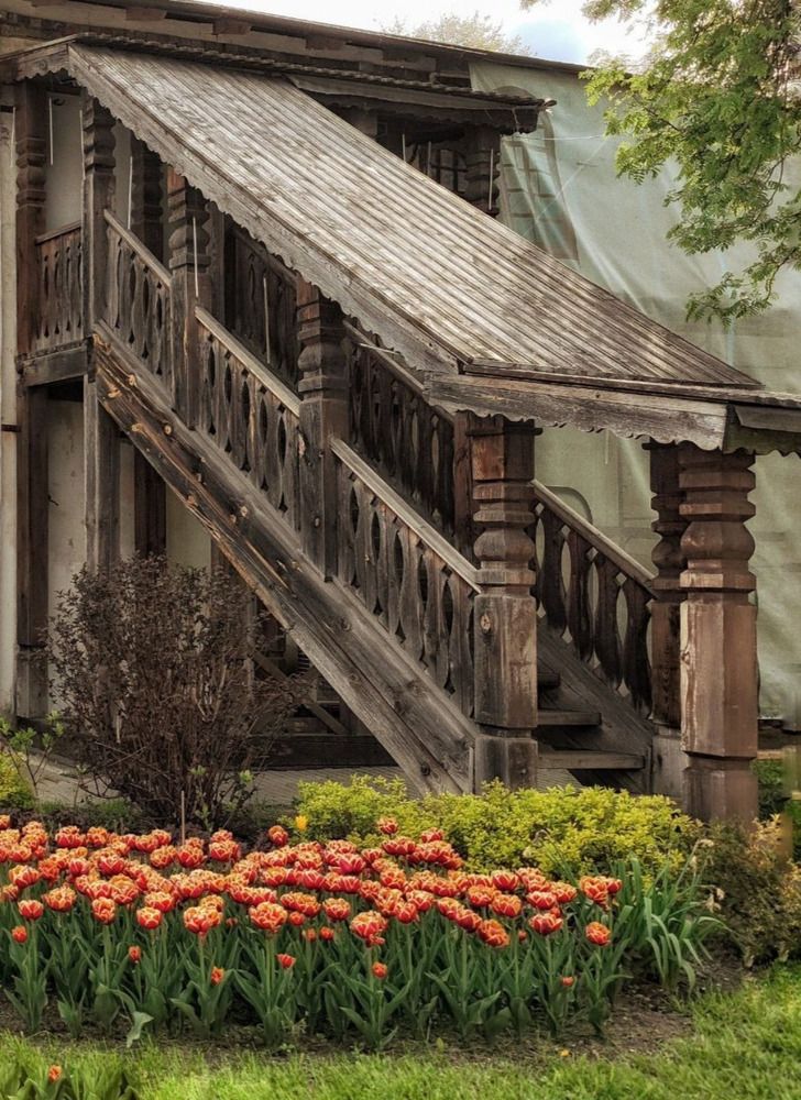 Photograph by Елена Бородулина