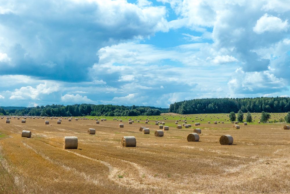Photograph by Андрей Янковский