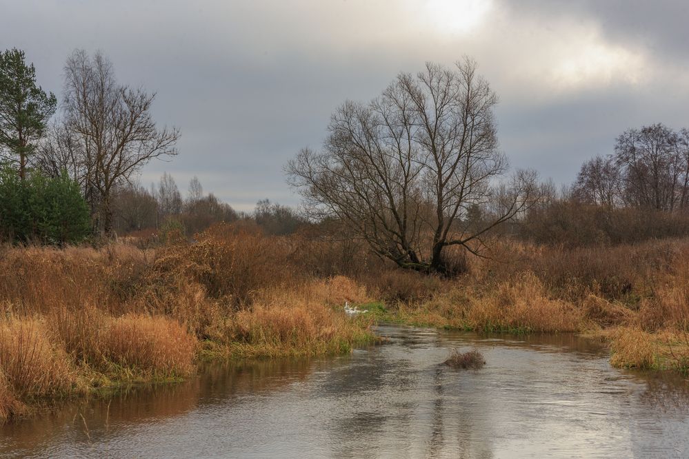 Photograph by Литвинов Александр