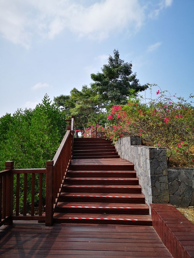 Photograph by София Лысова