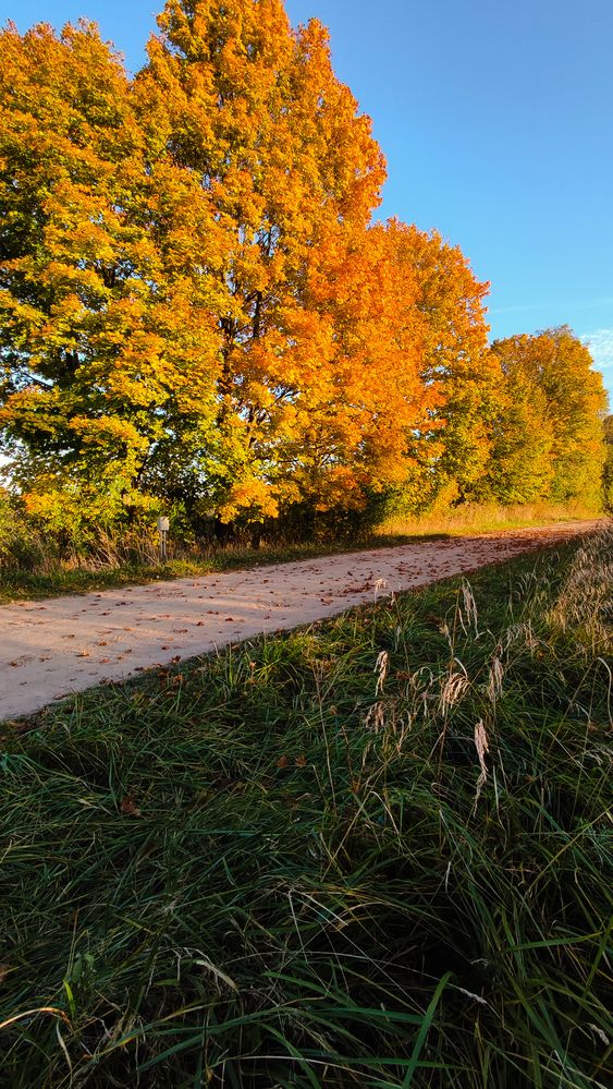 Photograph by Анастасия Гиринская